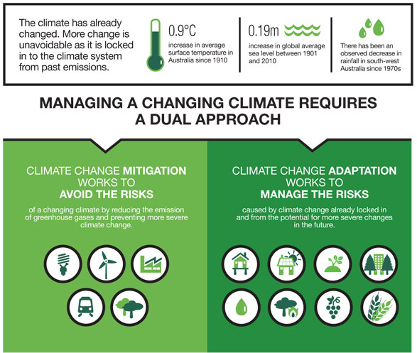 Climate Change Mitigation Strategies: Paving the Way to a Sustainable Future