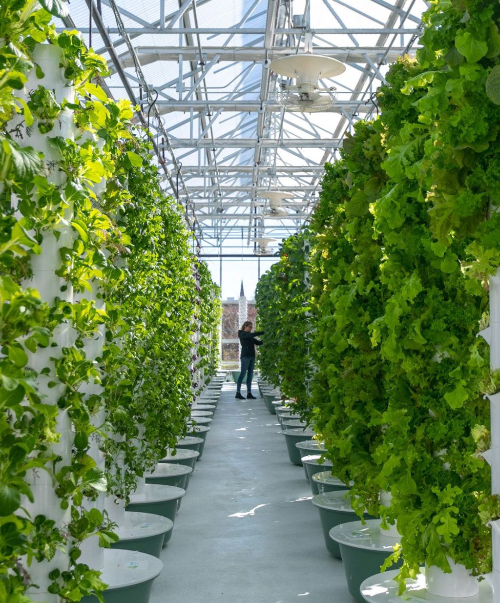 "Growing Up: Vertical Farming Takes Greenhouses to New Heights"