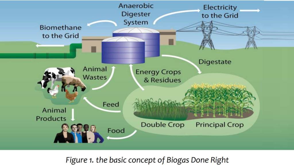 “Turning Waste into Power: Harnessing Biogas from Agricultural Waste for a Sustainable Future”