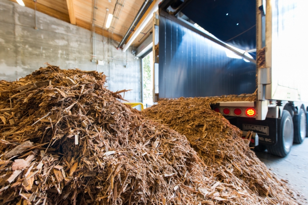 Harnessing the Power of Agricultural Waste: Biomass Energy for a Sustainable Future