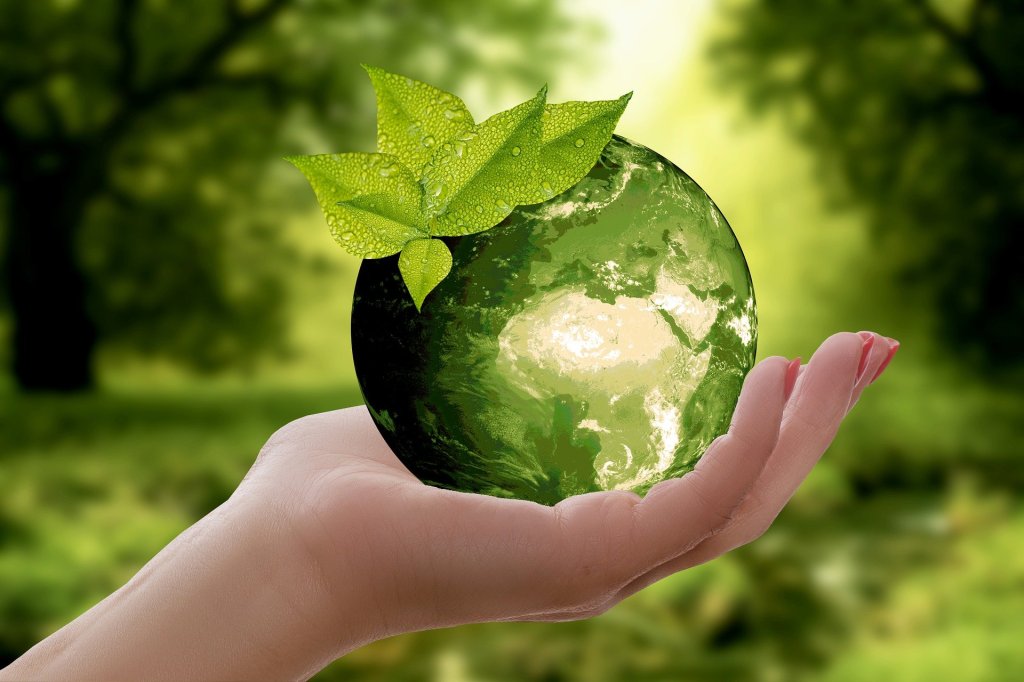 "Embrace the Green Revolution: 25 Ways to Live a Sustainable Lifestyle"